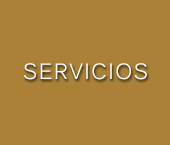 Servicios