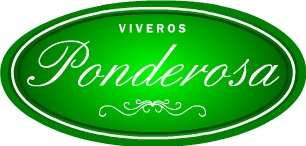 Viveros Ponderosa